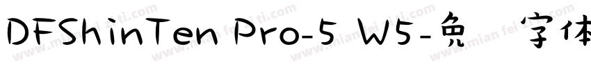 DFShinTen Pro-5 W5字体转换
